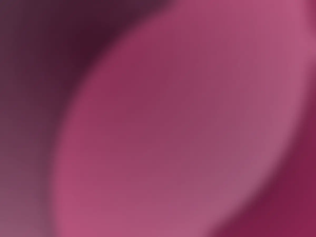 Petal — 美妆品牌视觉系统